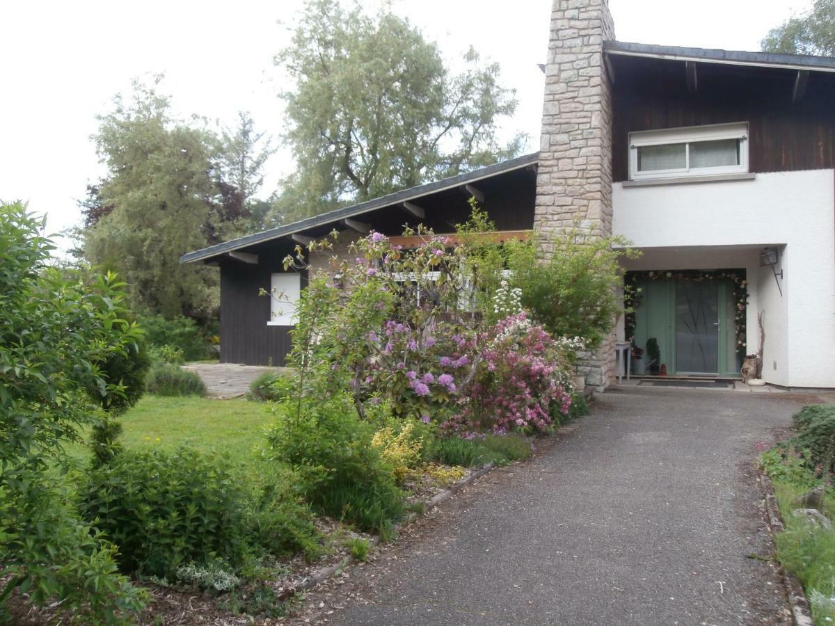 L'Échappée belle à l'Étang d'Anty -appartement Saint-Nabord Exterior foto